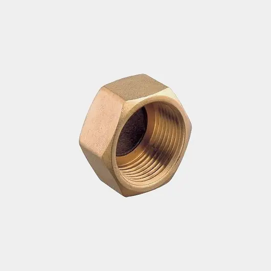 Bouchon de tuyau Guidi Cap, laiton, intérieur, 2″ G (BSP) Achetez Aujourd'hui