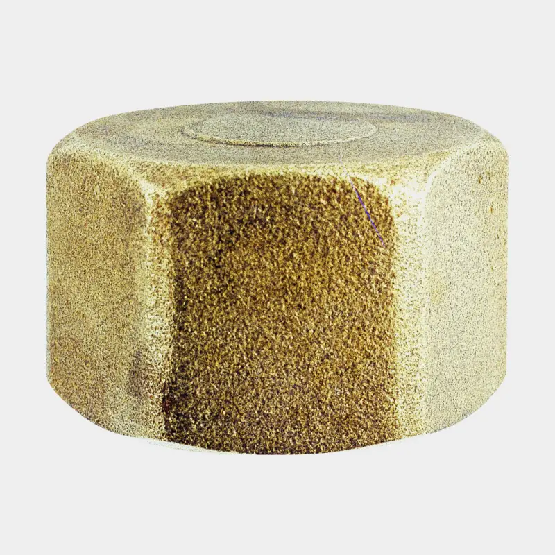 Bouchon de tuyau Maestrini Blanking Cap, laiton, intérieur, 2″ G (BSP) Petit Prix