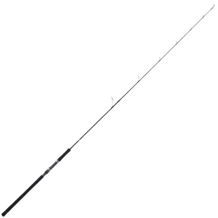 Offre Limitée Canne Jigging Daiwa Catalina